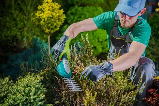 landscaping services Fort Thomas